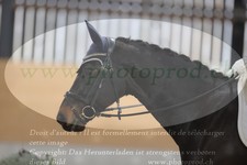 ref. photo 3379670