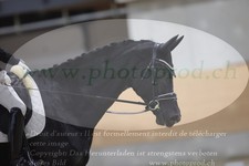 ref. photo 3379685