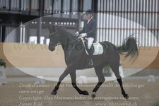 ref. photo 3379740