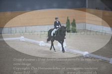 ref. photo 3379766