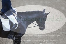 ref. photo 3379776