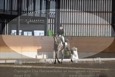ref. photo 3379807