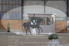 ref. photo 3379834