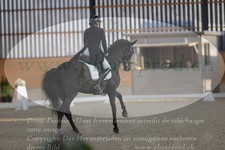 ref. photo 3379838