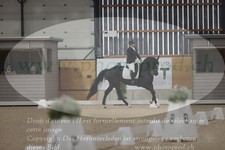 ref. photo 3379896