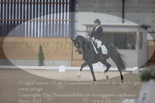 ref. photo 3379903
