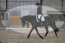 ref. photo 3379951
