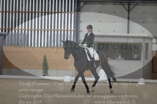 ref. photo 3379962