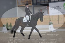 ref. photo 3379999