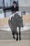 ref. photo 3380018