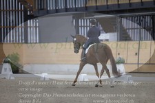 ref. photo 3380070
