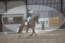 ref. photo 3380071