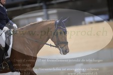 ref. photo 3380089