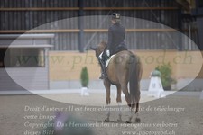 ref. photo 3380099