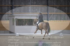 ref. photo 3380104