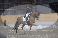 ref. photo 3380108
