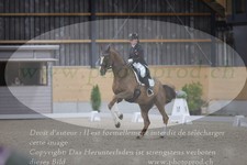 ref. photo 3380114