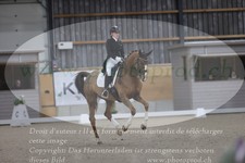 ref. photo 3380116