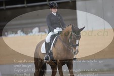 ref. photo 3380128
