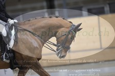ref. photo 3380129