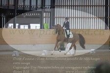 ref. photo 3380194