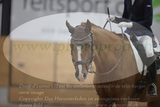 ref. photo 3380215