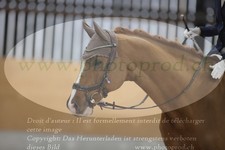 ref. photo 3380216