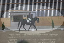 ref. photo 3380288