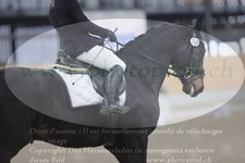 ref. photo 3380304