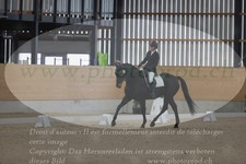 ref. photo 3380312