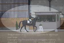 ref. photo 3380316