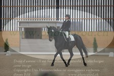 ref. photo 3380323