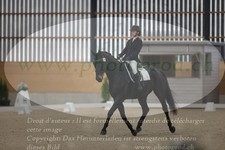 ref. photo 3380324
