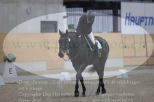 ref. photo 3380331