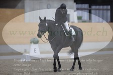 ref. photo 3380332
