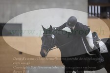 ref. photo 3380335