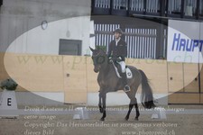 ref. photo 3380359