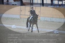 ref. photo 3380384