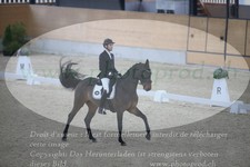 ref. photo 3380392
