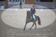ref. photo 3380395