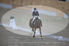 ref. photo 3380404