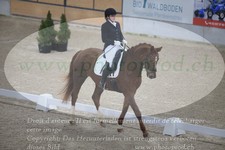 ref. photo 3380406