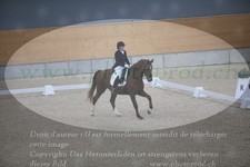 ref. photo 3380416