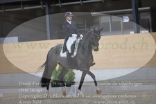 ref. photo 3380432