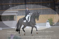 ref. photo 3380444