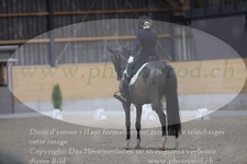 ref. photo 3380458