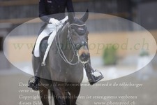 ref. photo 3380464