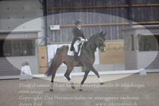 ref. photo 3380500