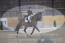 ref. photo 3380501