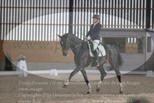 ref. photo 3380604